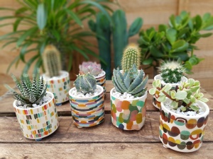 5.5cm Art Attack Pot with Plant (15)